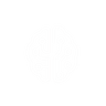 Elev.ai Logo
